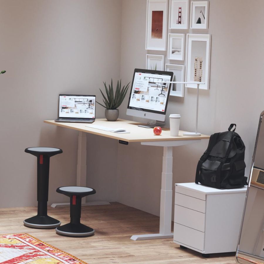 Modernes Homeoffice mit höhenverstellbarem Schreibtisch, Pflanzen und Monitor-Setup