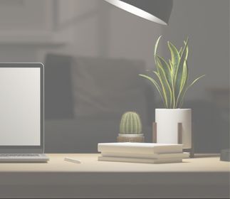 Ein Schreibtisch mit einem Laptop, Pflanzen, einem Stapel Bücher und einer Lampe.